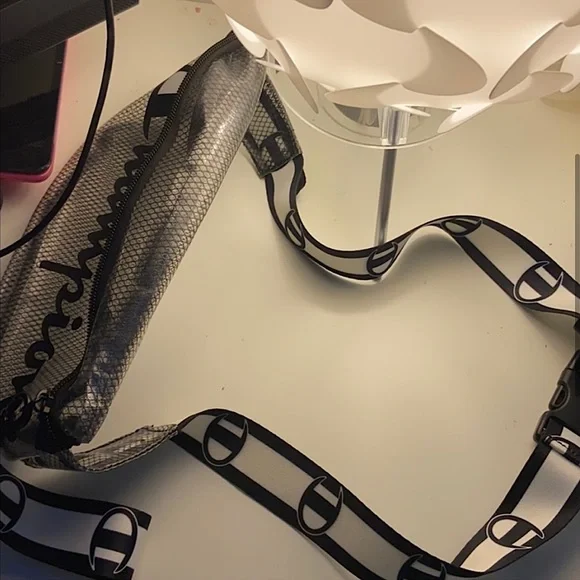 Champion - Picture 3 of 5